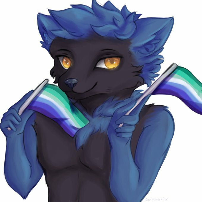 Twittter: @CommanderPuir
